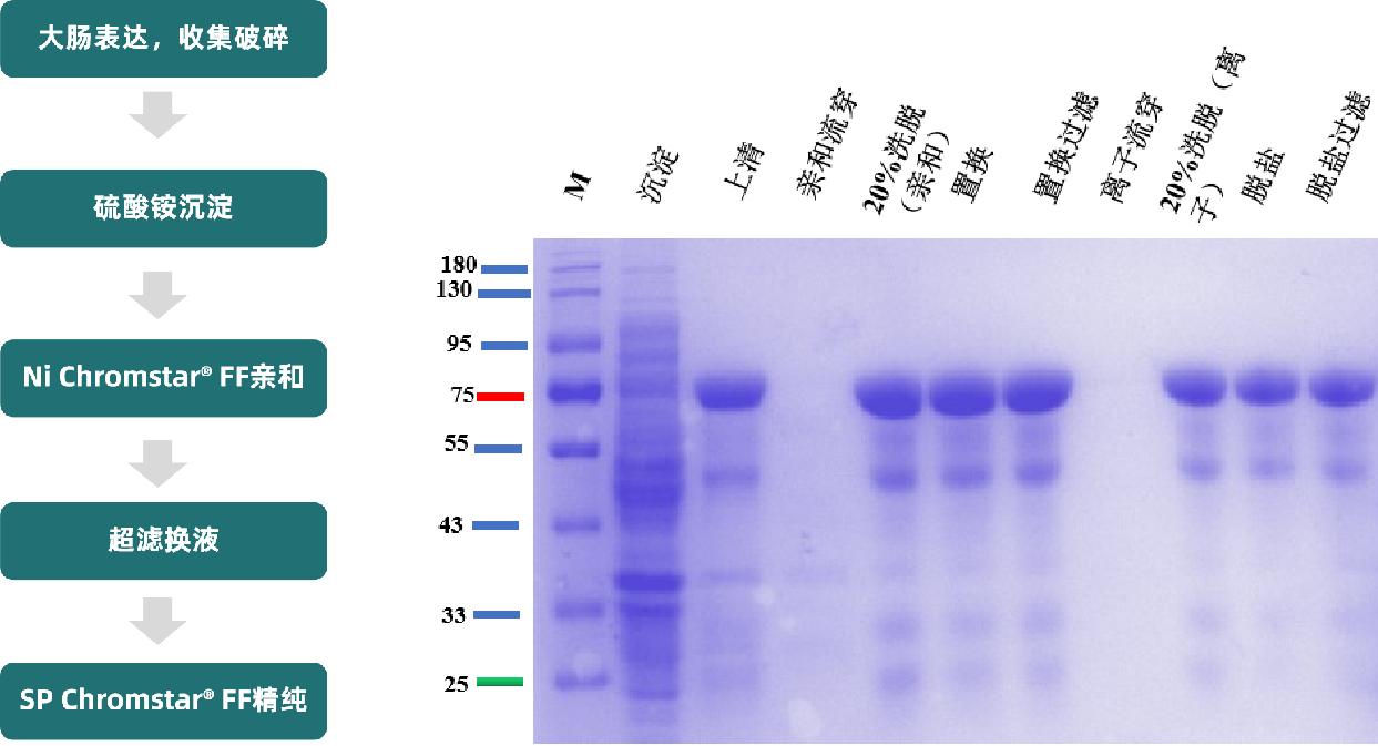 1735276515453195.png 图片2.png