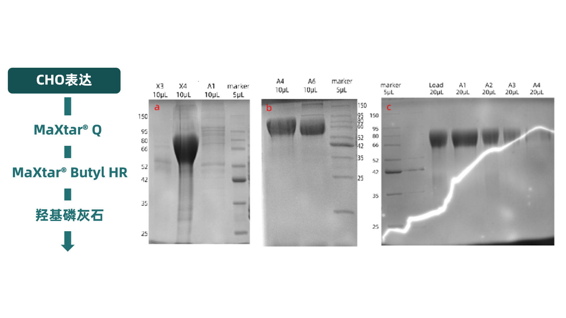 1735276628793069.png 文稿2.png