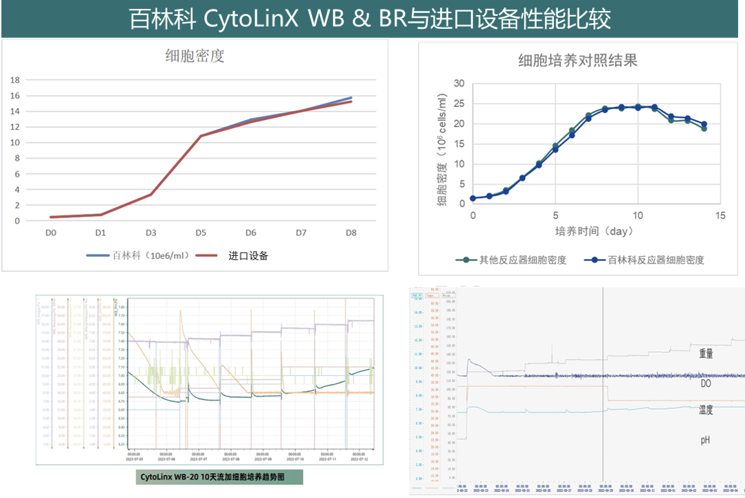 1736229129291289.png 6.png