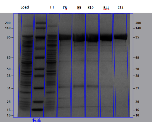 1742525771693665.png 图片5.png