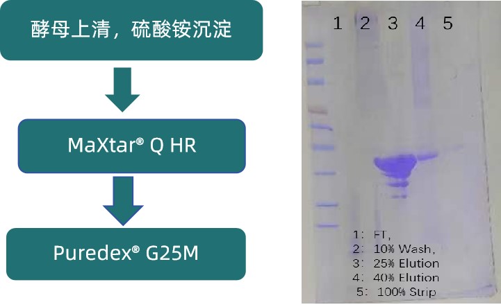 1742526484137814.jpg 流程1新.jpg
