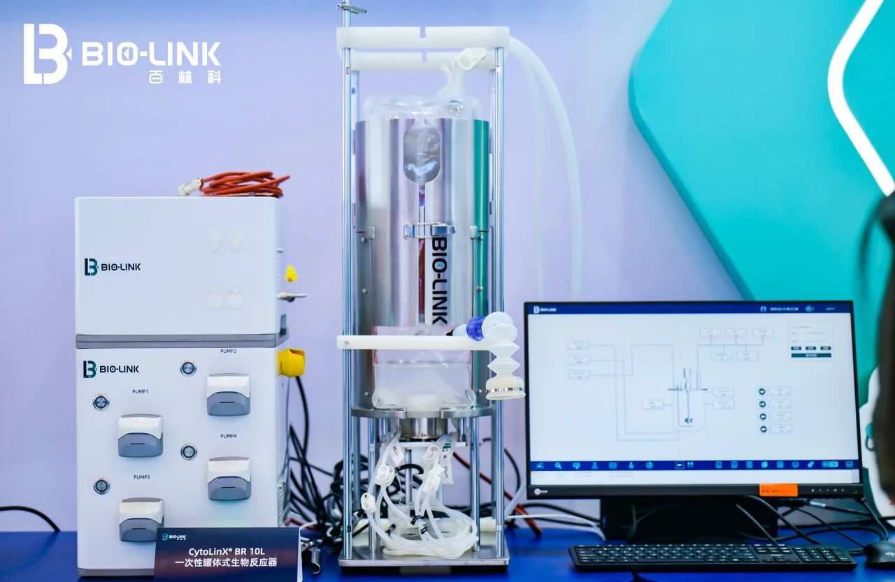 1742530472526259.jpg 4.jpg