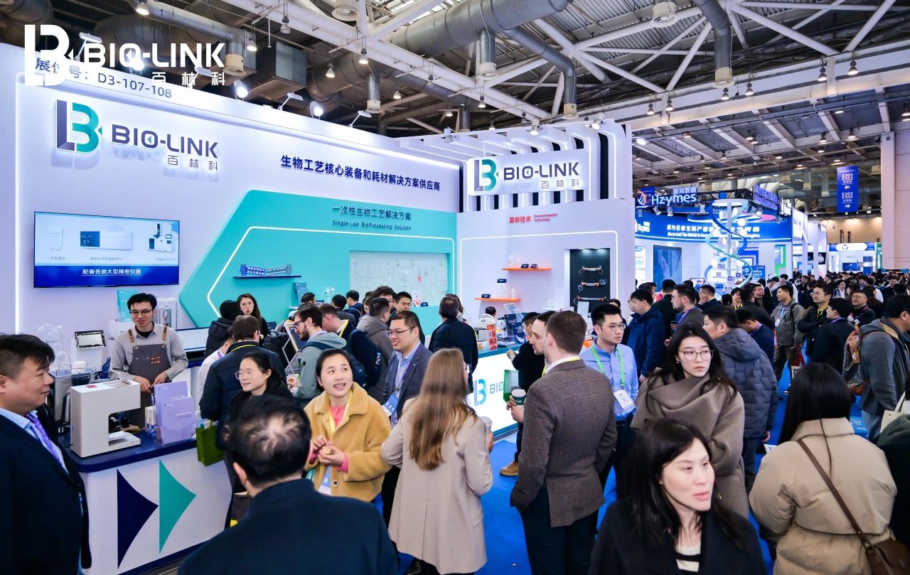 1742530757369690.jpg 10.jpg