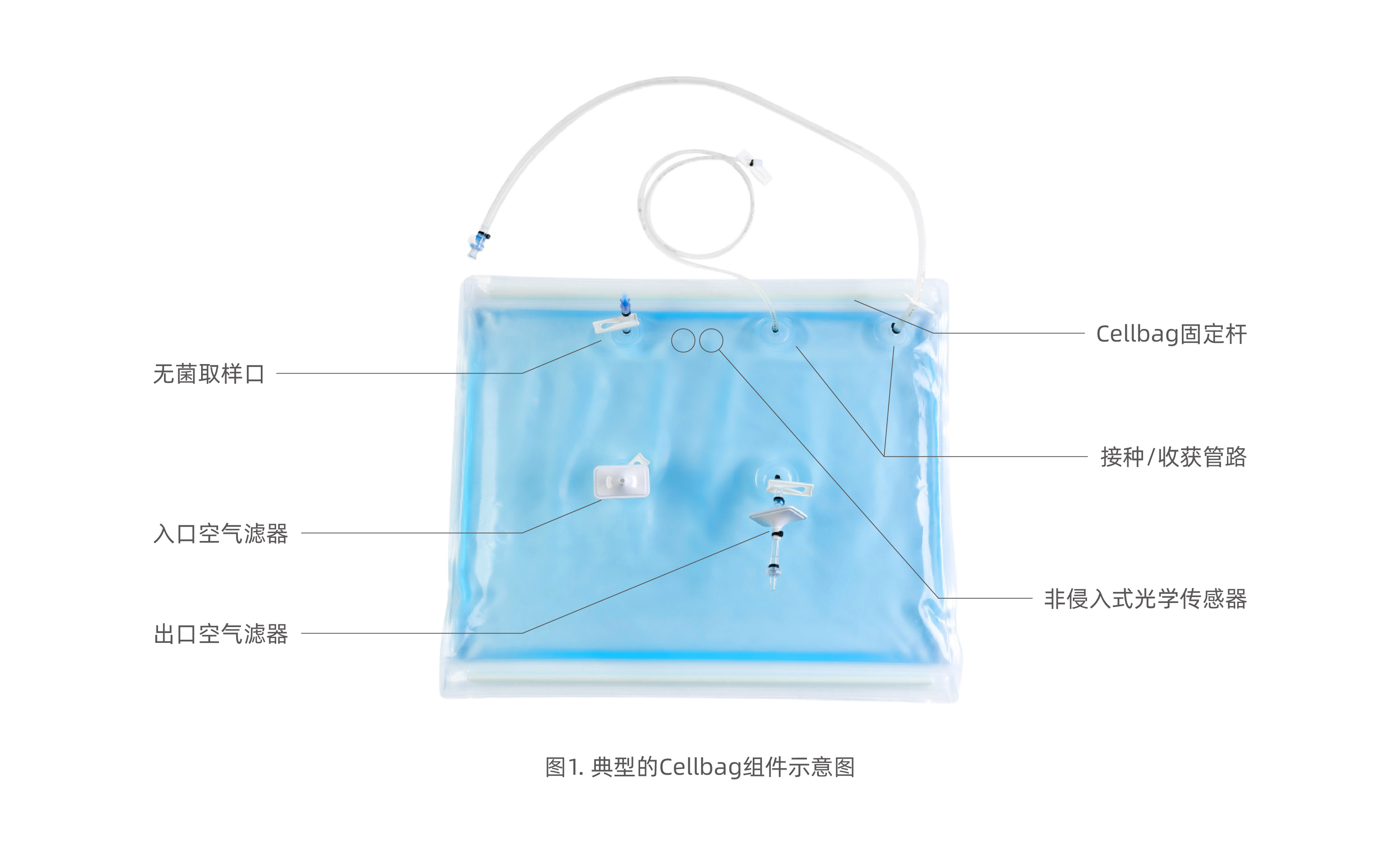 1742540529457197.jpg 袋子更新.jpg