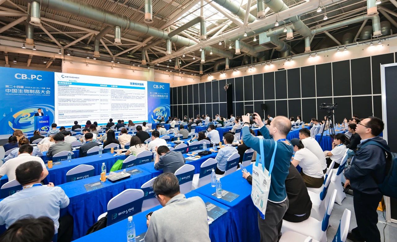 1746005345978703.jpg 6.jpg