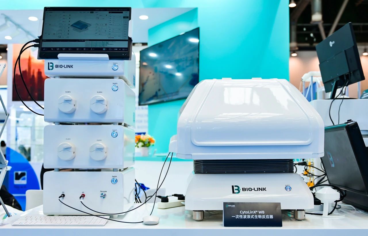 1746005990879267.jpg 13.jpg