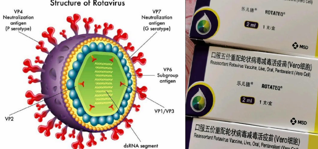 1747965433847523.png 图片1.png