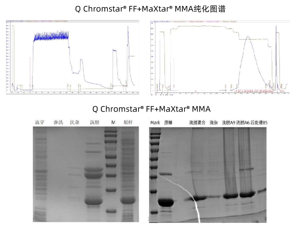 1747969785800097.jpg 图片3再更新.jpg