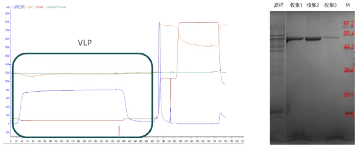 1747970000492537.png 图片5(1).png