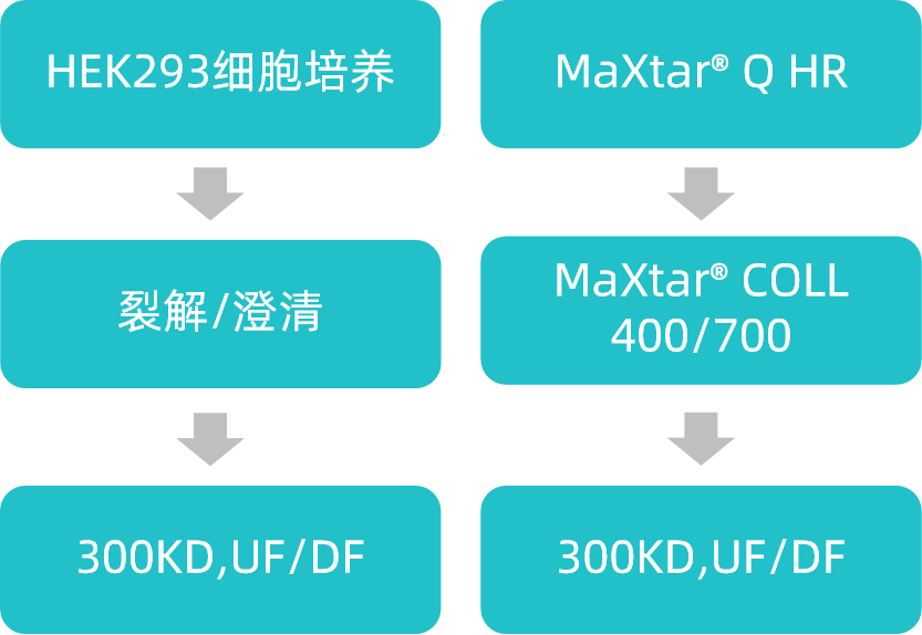 1747971928897336.png 图片2.png