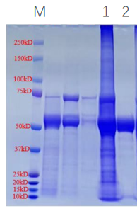 1747976940345497.png 图片7.png