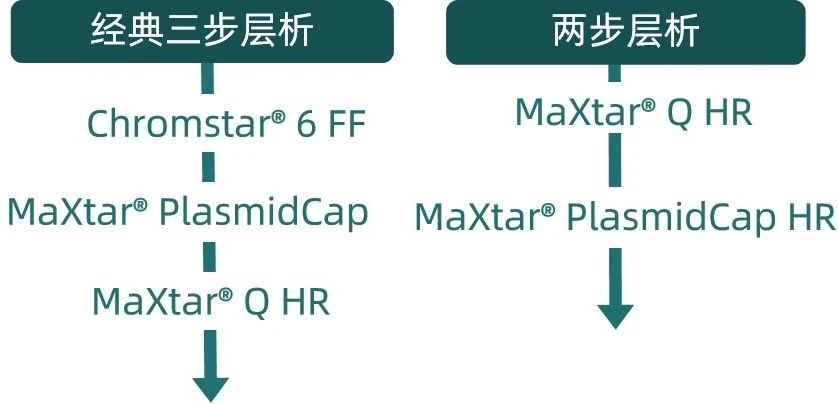 1747977411468535.jpg 4.jpg