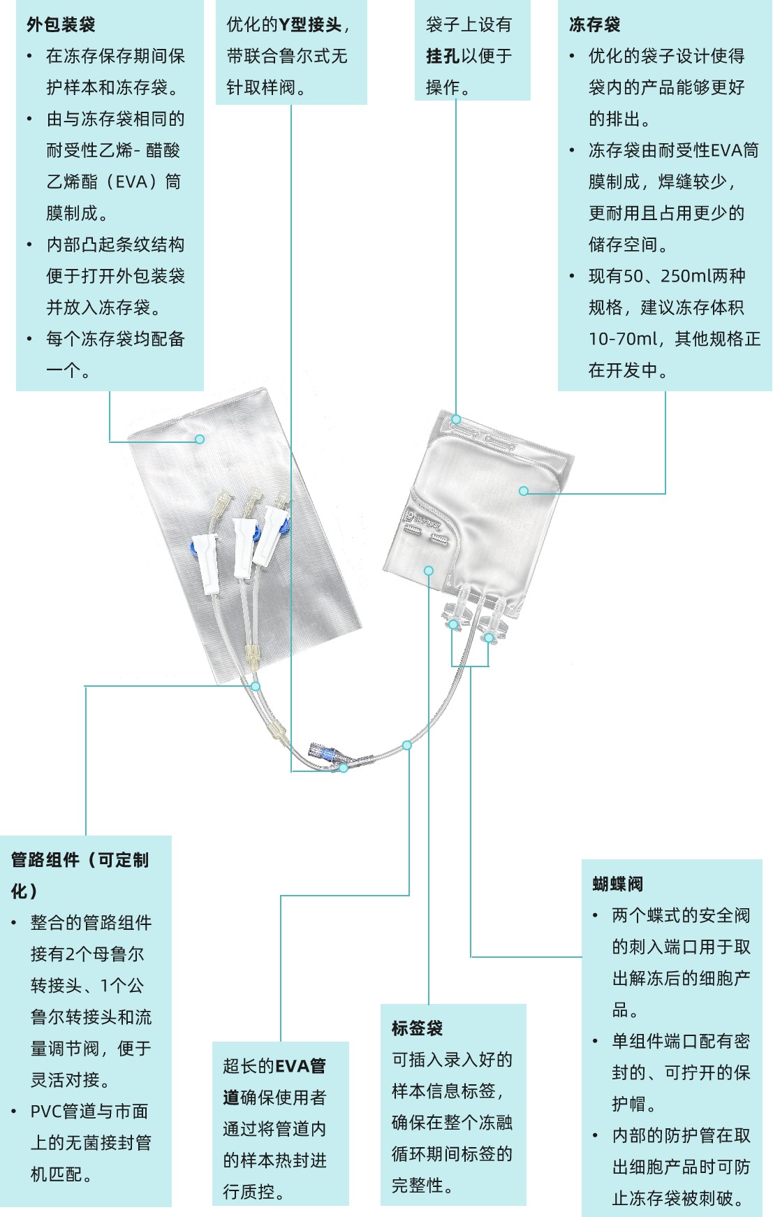 1747987254397007.jpg 图片2竖版更新2.jpg