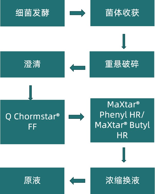 1748583256757969.jpg 图片2更新.jpg