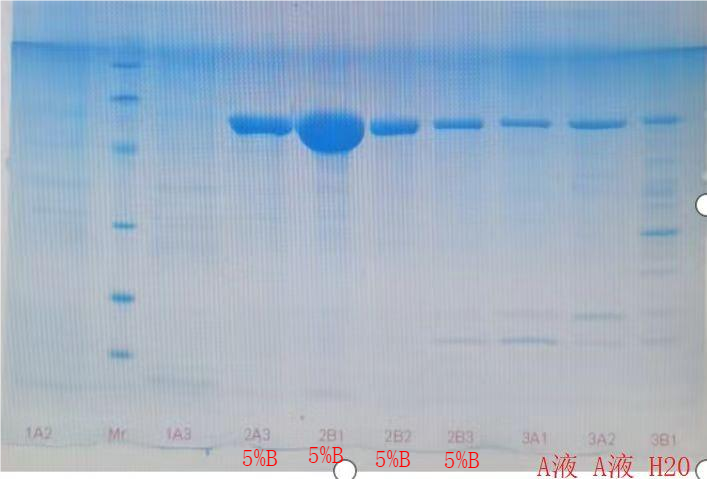 1748583654218961.png 图片8.png