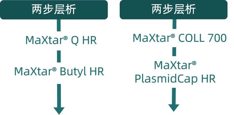 1749719039114644.jpg 22.jpg