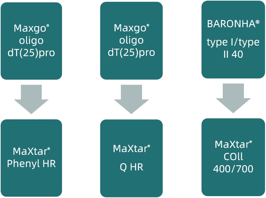 1749719237699887.jpg 更新3.jpg