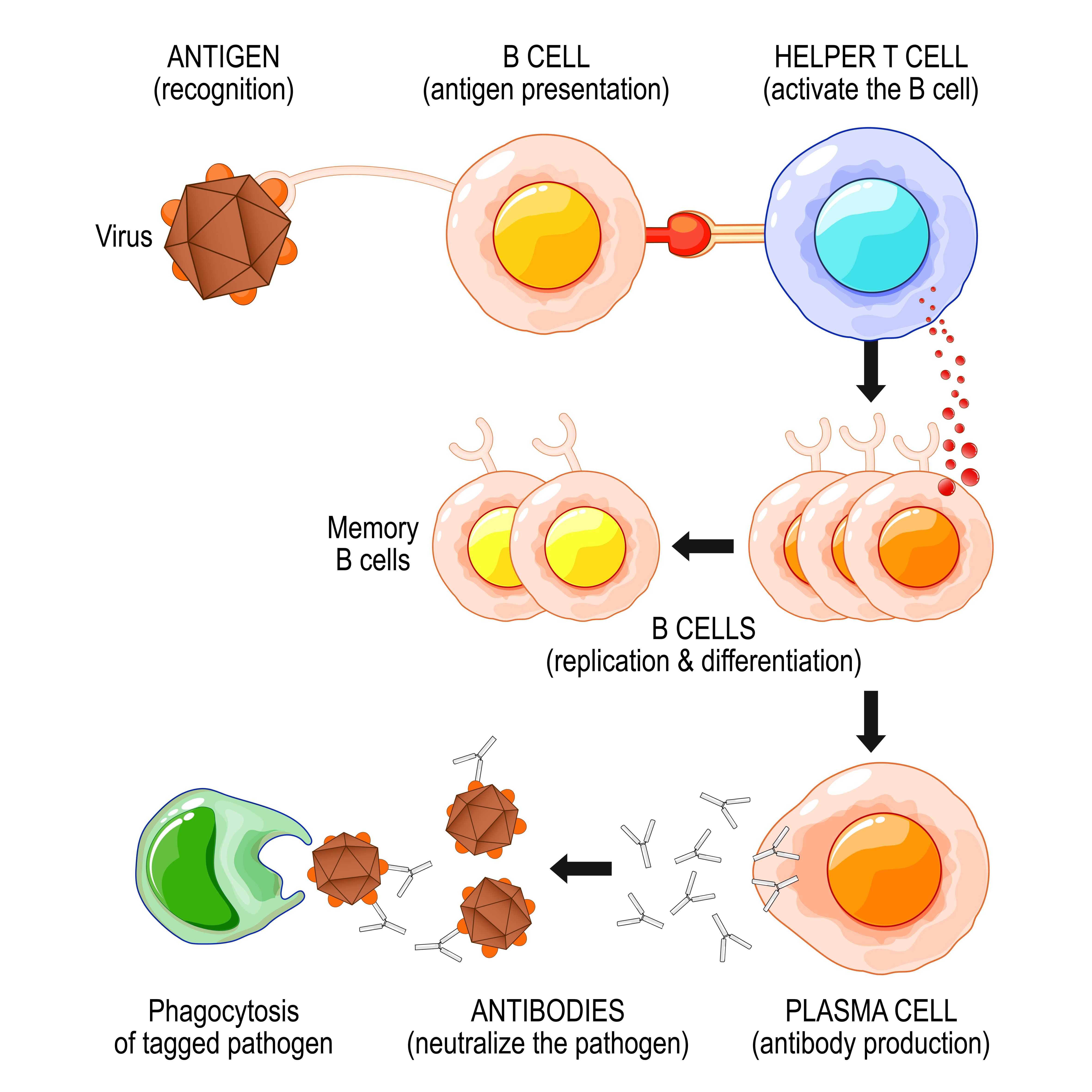 1750386673539062.jpg 微信图片_20250618112313(1).jpg