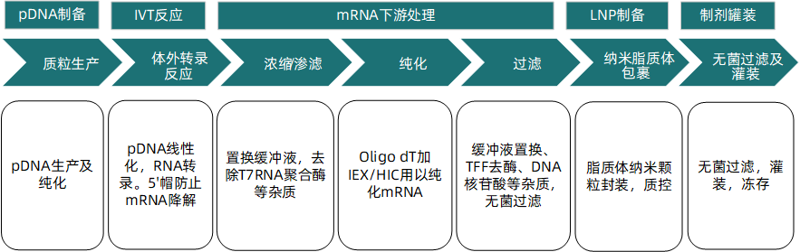 1750400154704569.png 图片2.png