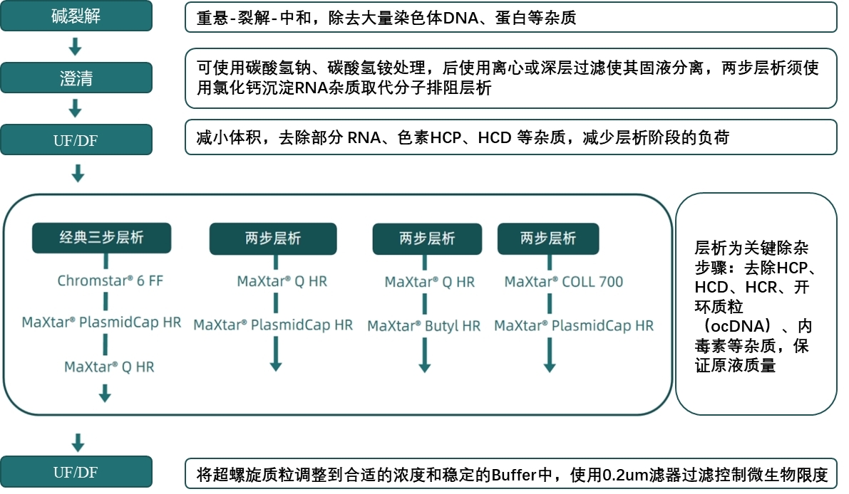 1750400202345689.jpg 图片3.jpg