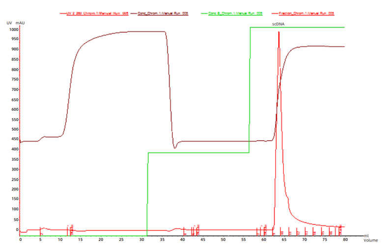 1750401265189525.png 图片8.png