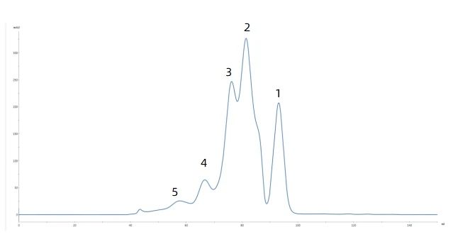 1752221570346593.jpg 2.jpg