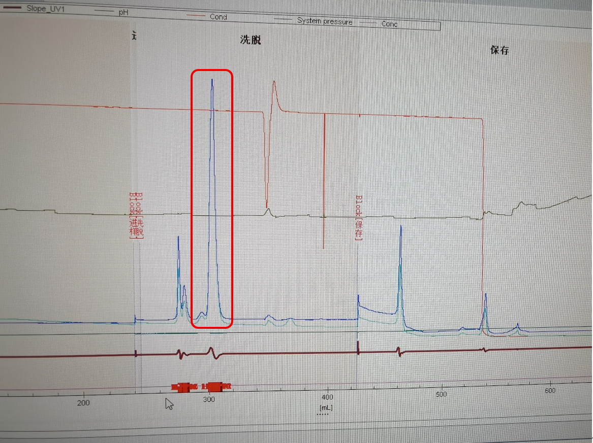 1752222039562108.png 5.png