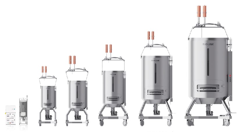 1752227539701291.jpg 图片3.jpg