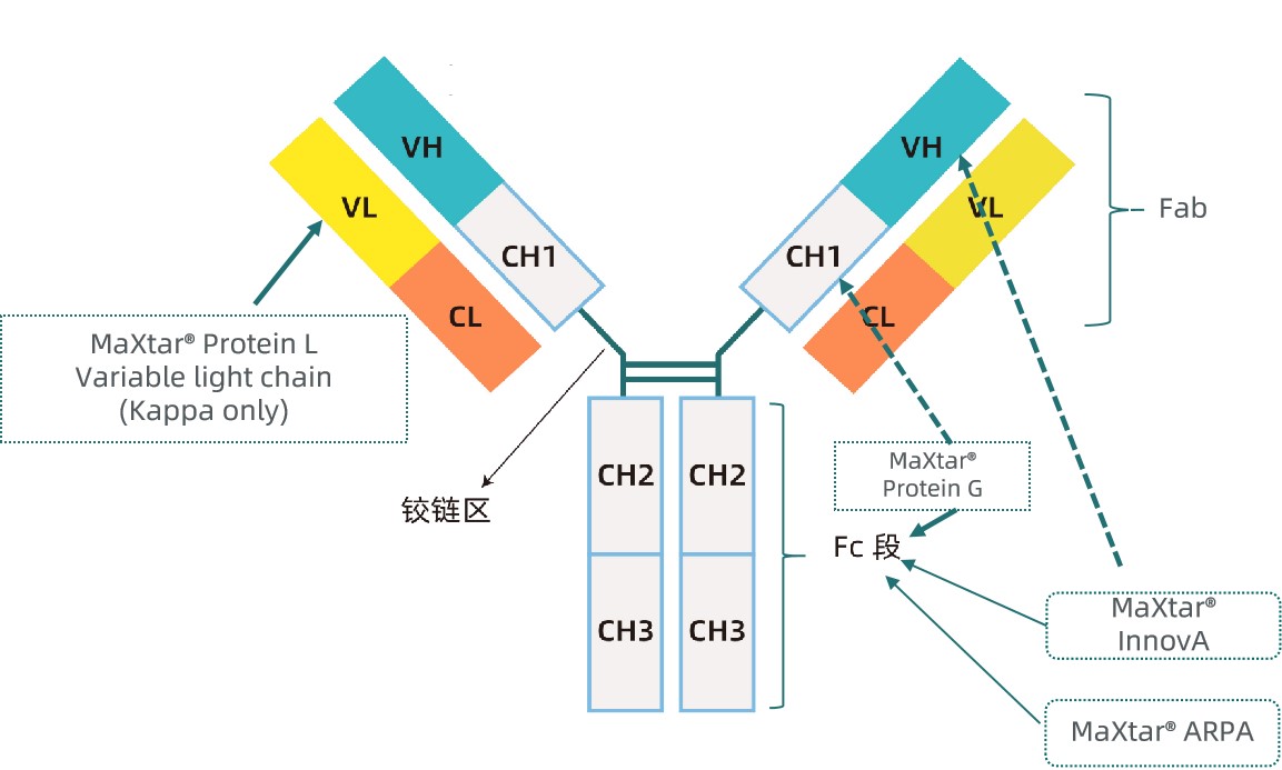 1753430312598125.jpg 图片1更新.jpg