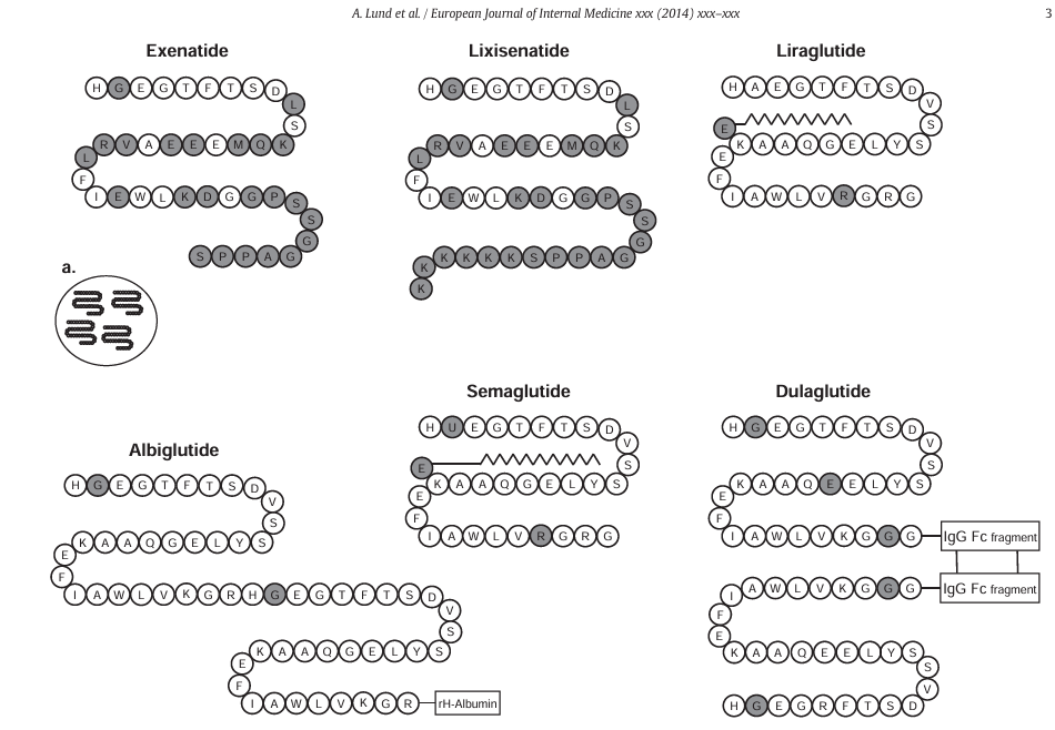 1754982614322999.png 图2.png