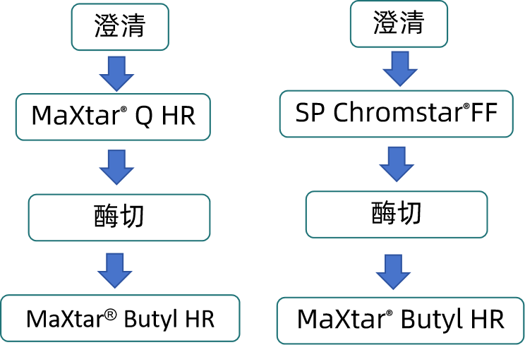 1754986646112561.png 图片11.png