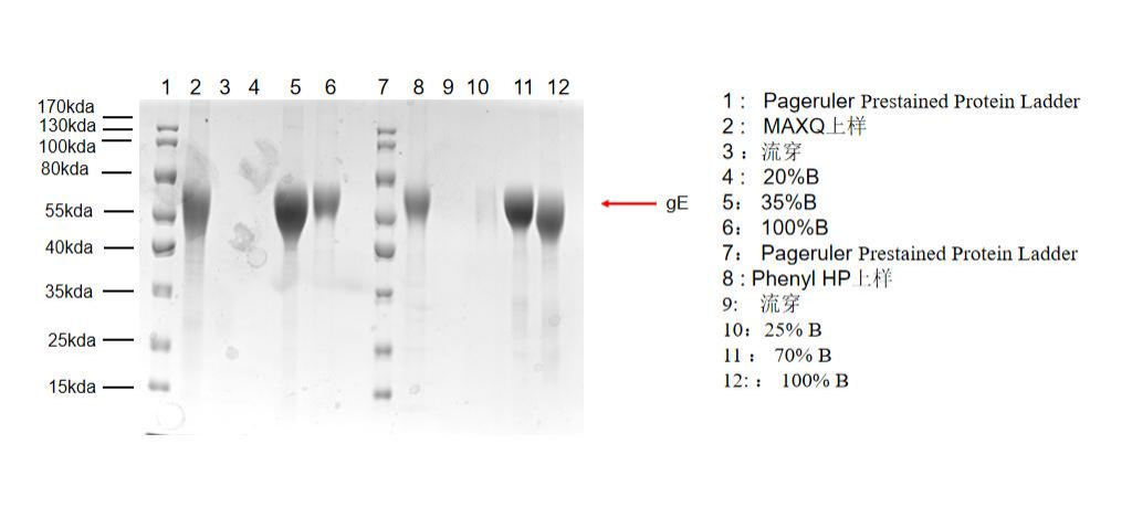 1755486594937089.png 图片2.png