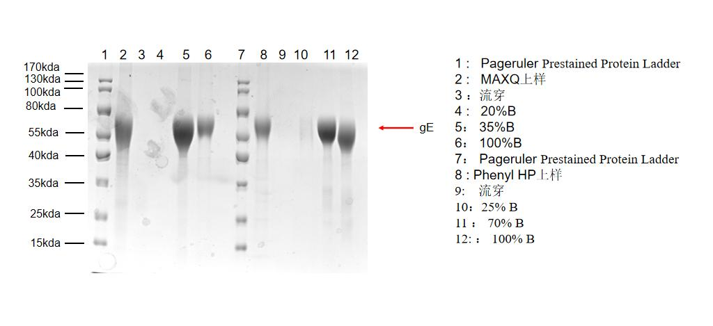 1755487073482005.png 图片5.png