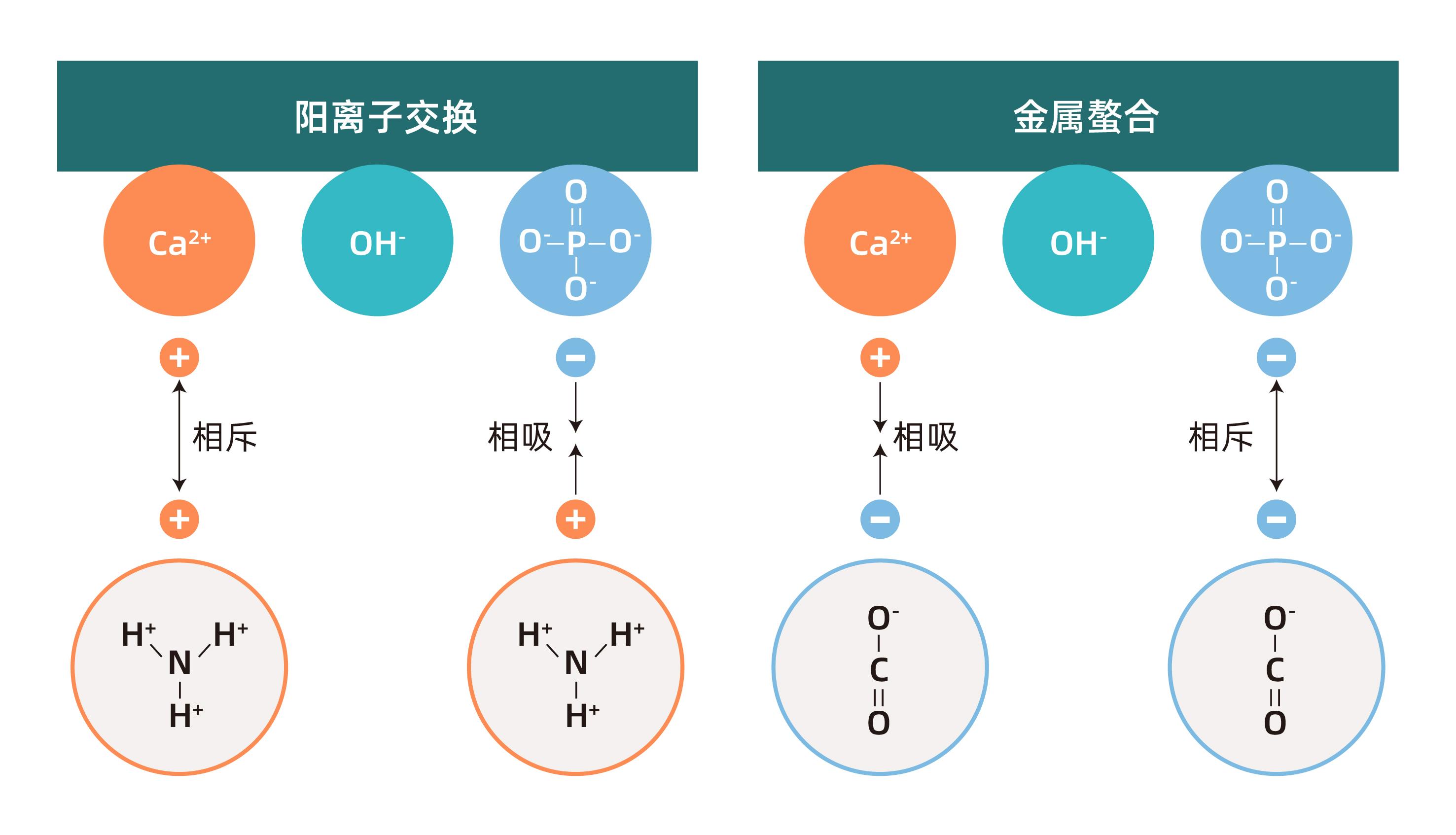 1755840348584054.jpg 图片1.jpg