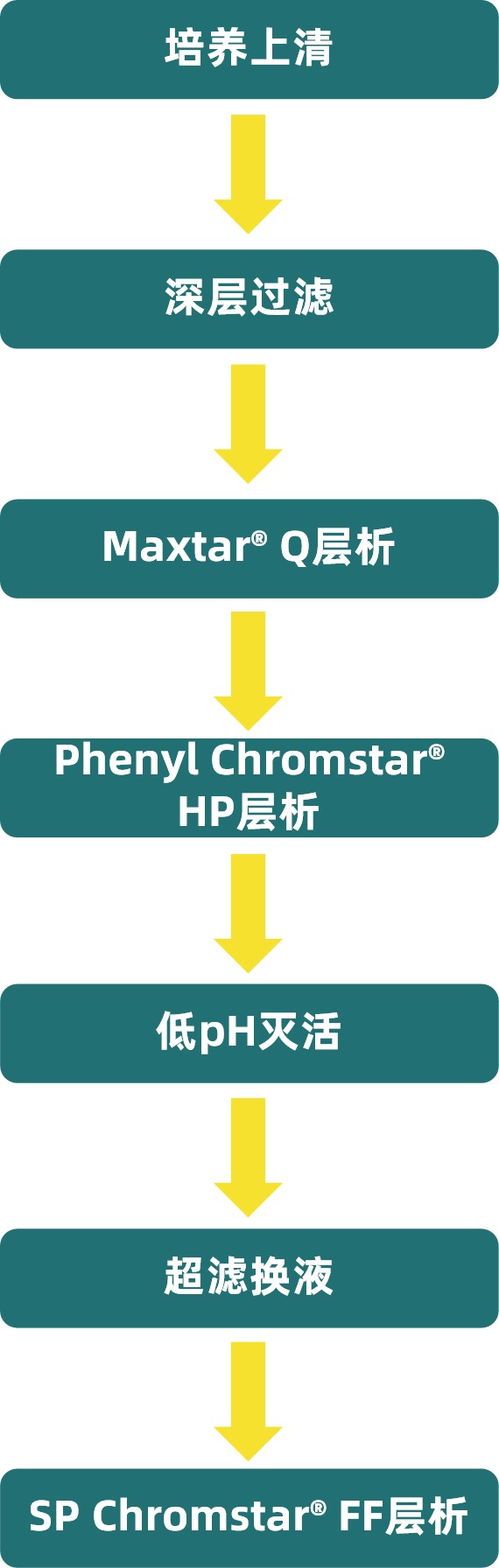 1757062740218102.jpg 图片2.jpg