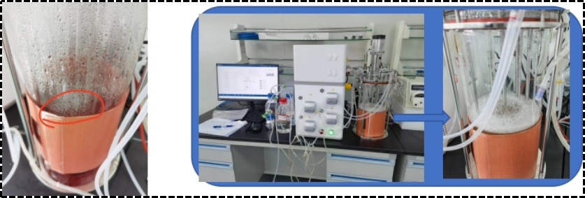 1757062789662251.jpg 图片4.jpg