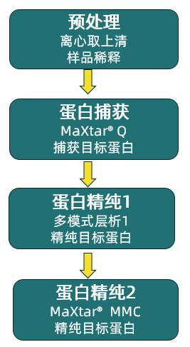 1757063629580334.jpg 图片10.jpg