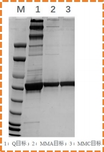 1757063892493730.jpg 图片14.jpg