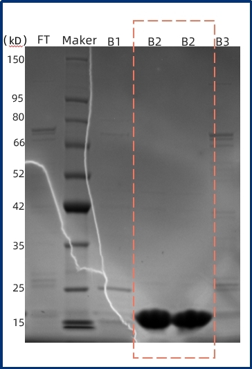 1757064431110200.jpg 图片20.jpg