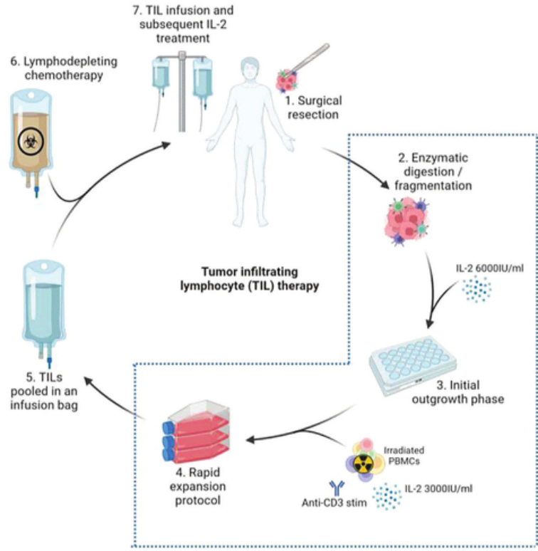 1758766212794130.png 图片4(1).png