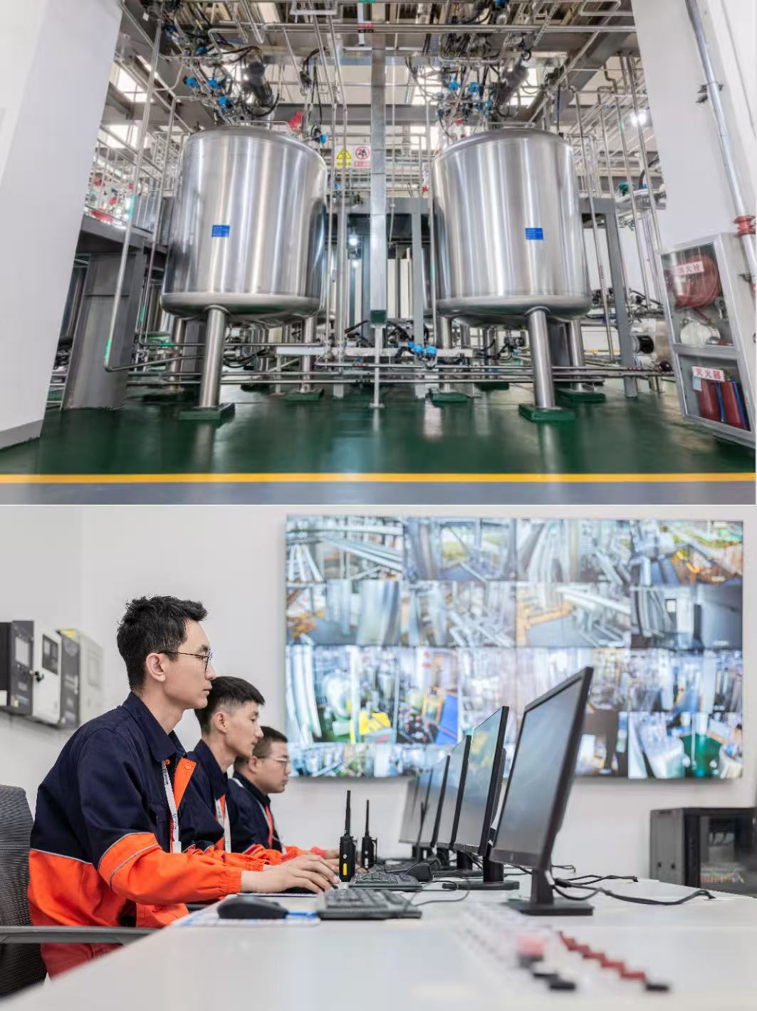 1764912223244727.jpg 5.jpg