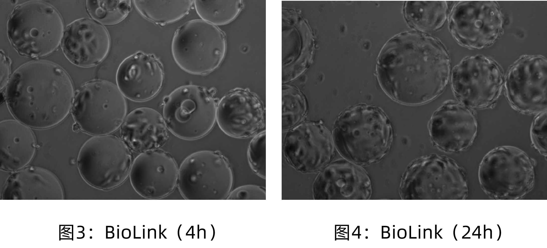 1765524014173387.png 2.png