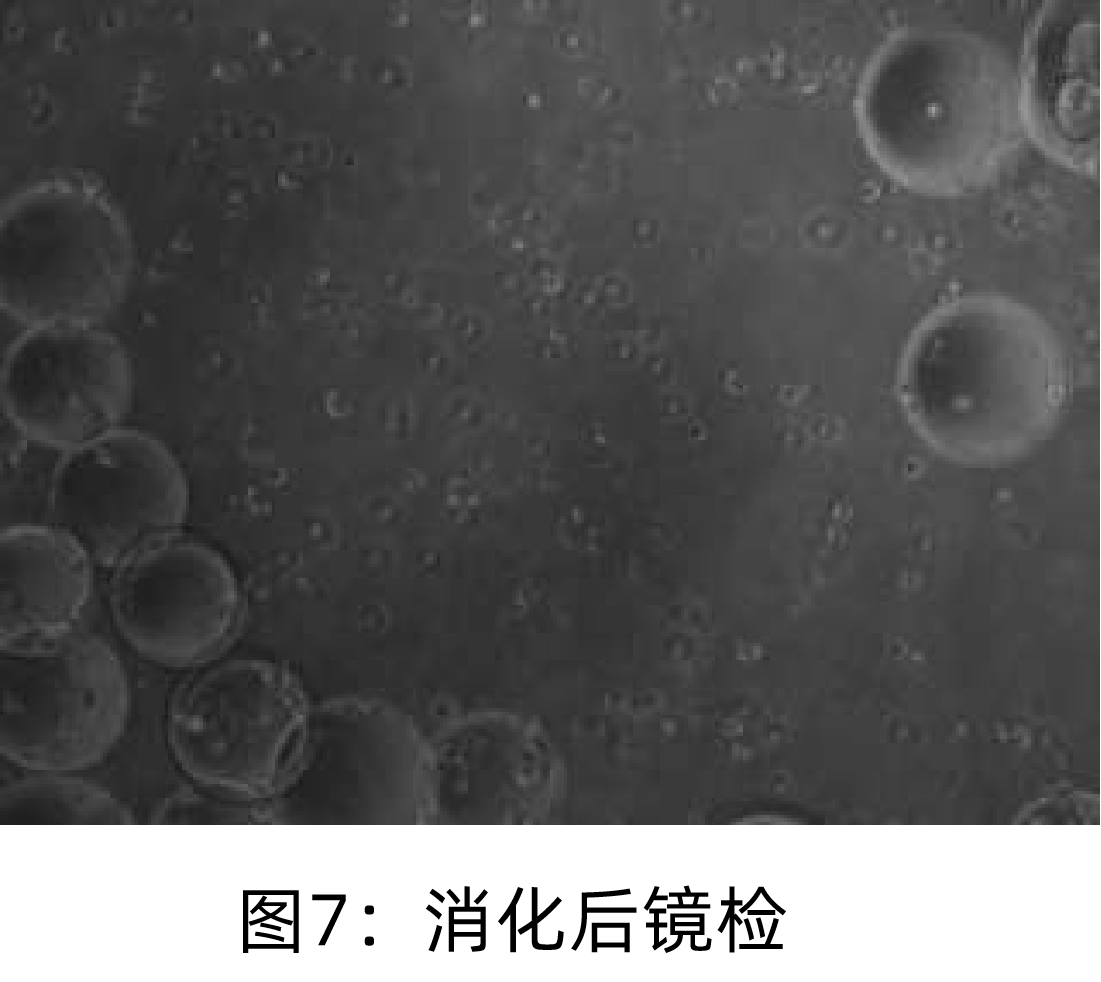 1765524362118036.png 4.png